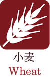小麦